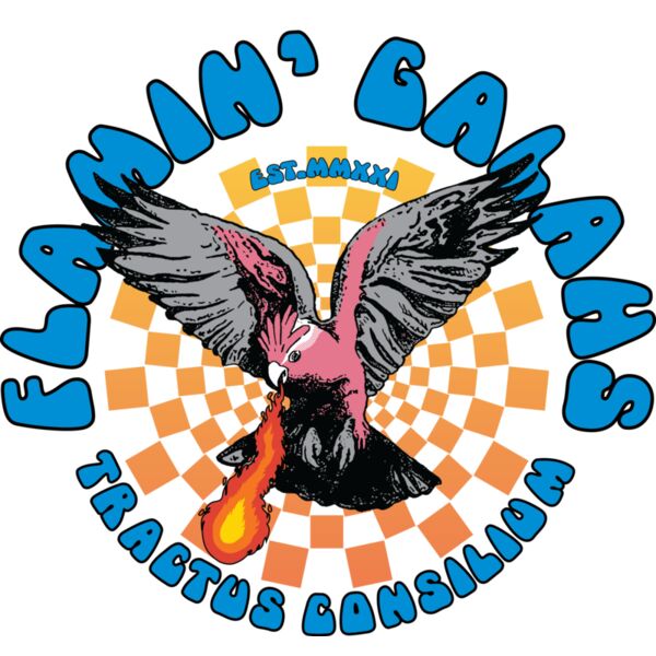 FLAMIN' GALAHS #2 Thumbnail